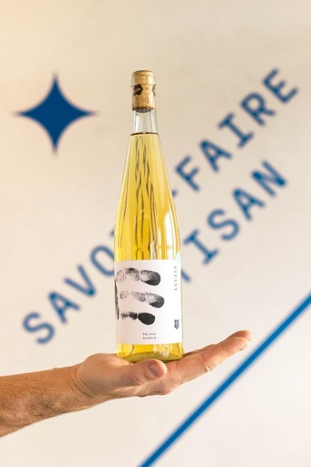 Palava 2019 - Syfany