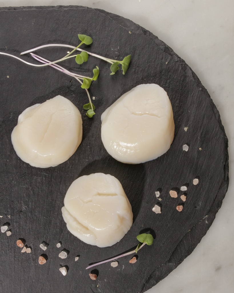 Pétoncles U-10 canadiens (Terre-Neuve)